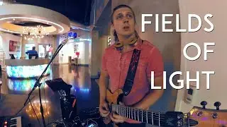 Fields Of Light