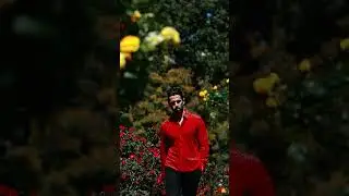 🔥 The Red Shirt That Turns Heads | Barabas Boldwear