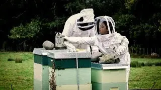 Local Focus: NZ's youngest beekeeper