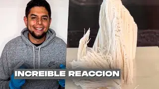 La Increible Reacción Del Aluminio y El Mercurio