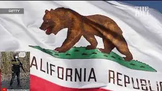(Judge dismisses California Ammo Background check law) Freedom week 2.0