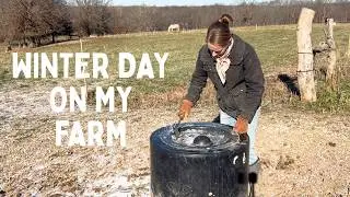 Winter Day in the Life || chores + from scratch cooking