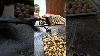 Wrench + Hammer &mdash; Crack Macadamia Nuts Easily and Fast!