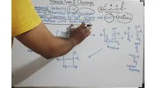 Norrish Type-II Cleavage