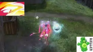 GW2 Amalgam PvP