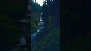Beautiful wildflowers and waterfall in Umpqua National Forest of Oregon! #waterfall #oregon #nature