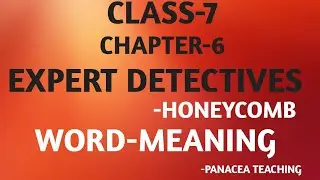 CHAPTER 6, EXPERT DETECTIVES, WORD MEANING, CLASS7, HONEYCOMB, NCERT CBSE