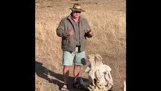 Bushlife Conservancy President Nick Murray and elephant skull