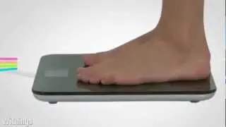 Withings WiFi Body Scale весы с Wi-Fi для iPhone/iPod/iPad Обзор от AppleProStore.ru