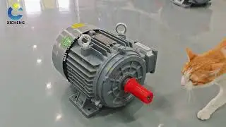 Permanent Magnet Synchronous Motor |XICHENG