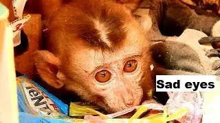 P7|So pity poor orphan Axel look hopeless see Mom|Axel show sad face near drop tear