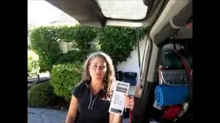 Free Resource to Help Dogs in Hot Cars - a Checklist from Dogsafe Canine First Aid  (Dogsafe.ca)