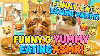 Happy Cats Eating Food | Cute & Peaceful Video 