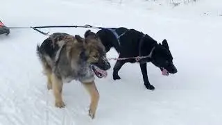Тренировка 14 01 2018