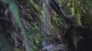 Waterfall Tranquility Calming Music for Deep Focus