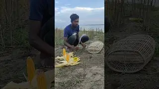 Rat killing mission 16 #reels #trending #hunting #kill