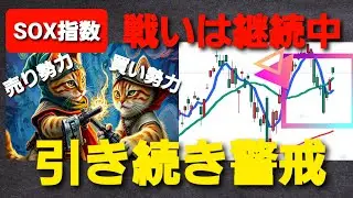 SOX Index Chart Analysis [Continued Vigilance] 2025.12.22