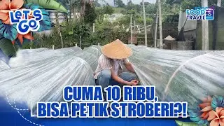 PETIK STRAWBERRY DI BALI UTARA | HIDDEN STRAWBERRY GARDEN BULELENG CUMA 10 RIBU?!