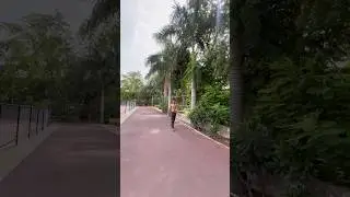 Synthetic Tracks Racer 🏇 || #athlete #sports #racer #horse #shorts #enjoy #travel #rajasthan #viral