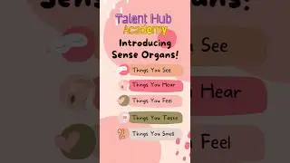 Watch These Preschoolers Master Their Senses #talenthub #learning