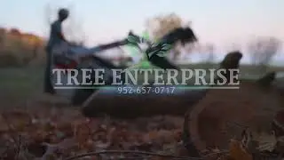 Tree Enterprise - Services - (Minnesota Tree Company)