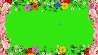 FLOWER BORDER GREEN SCREEN WITH BUTTERFLY