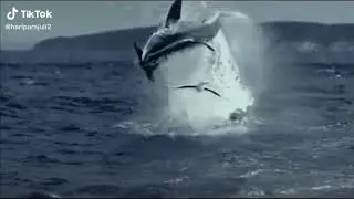 Hhvhhhh