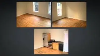 Urban Lux Features - 1345 N. Wells
