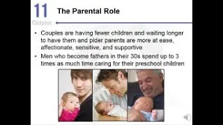 Developmental Psychology - Middle Adulthood - CH11