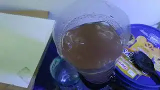Penetasan Telur Artemia Instan Udang Air Asin untuk Pakan Ikan Cupang