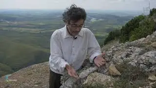 L&Iacute;QUENES.