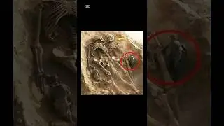 &ldquo;25-Foot Giant Skeleton Unearthed in Mongolia Leaves Experts Stunned&rdquo;