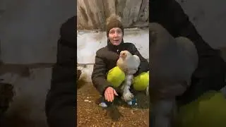 Отзыв по применению 