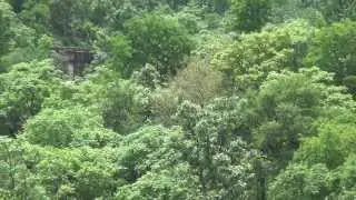 THICK FORESTS, NATURE & HUMAN CREATION AT THEIR BEST - DHARAKHOH - MARAMJHIRI GHATS IN MP, INDIA