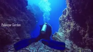 One day of your Divemaster Internship at Go Pro Blue Magic Scuba