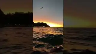 Isla tortuga