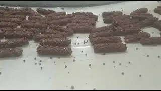 VRK CHOCOLATE ENROBER WITH CARAMEL LINE