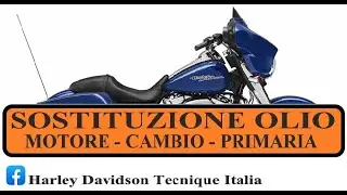 HARLEY DAVIDSON TOURING 1584 - tagliando -