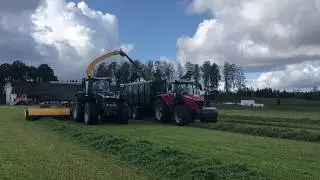 Sverigepremi&auml;r Elho Cobra 7710 T exakthack