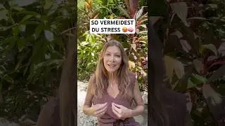 Stress entsteht, wenn wir einem Ziel in der Zukunft nacheifern und dabei nicht im Moment sind 🥵🧠