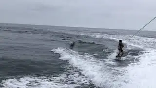 Wakeboarding with dolphins