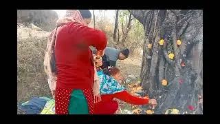 आज समस्त ग्राम वासियों ने की पीपल के पेड़ पर शनि पूजा और बनाई माग की खिचड़ी 🙏🙏🌺🌺