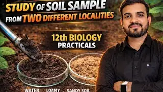 Study of Soil Sample from Two Different Localities | 12th Biology Practicals | Maharashtra Board 