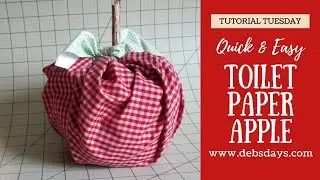 Make a Quick and Easy No-Sew Homemade Fabric Apple - With a Roll of Toilet Tissue!