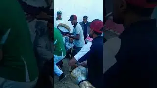 الرقص العلاوي ركادة/ رقص العلاوي || DANSE ALLAOUI #وعدة #عين_تموشنت #وهران #allaoui  #waada