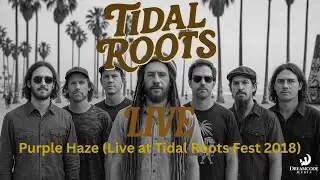 Tidal Roots | Purple Haze | Live from Tidal Roots Fest 2018 | Dreamcode Media