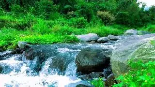 Dreamy Mountain Creek &ndash; For Uninterrupted Sleep, Anxiety Relief & Quality Sleep