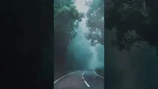 موزیک آرام بخش از طبیعت