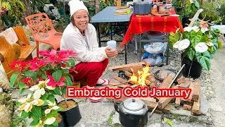 Countryside Life: First Peaceful Days of January/Morning Routine/Planting Vegetables