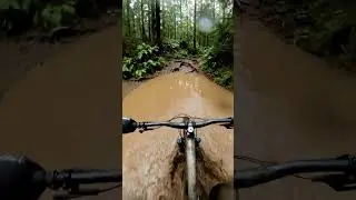 POV Mountain Biking Madness: Rocky Trails & Epic Speeds!